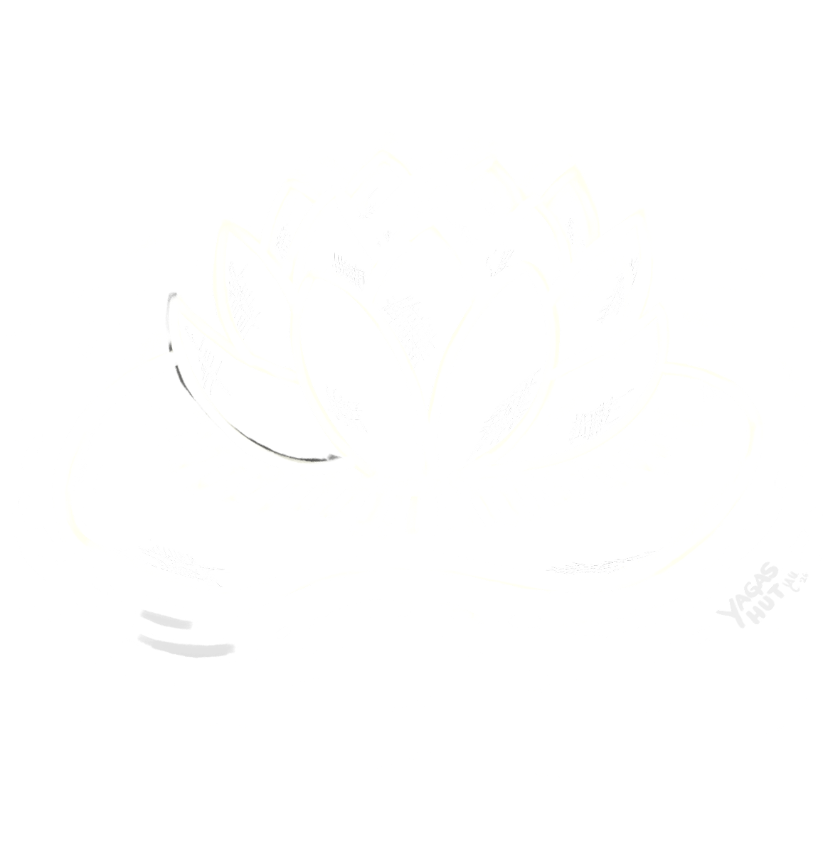 Water lilly